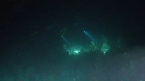 Scuba Divers’ Flashlights Illuminating the Dark Belizean Waters Stock Footage 306500609
