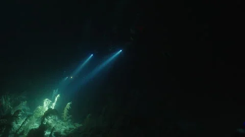 Scuba Divers’ Flashlights Illuminating the Dark Belizean Waters Stock Footage 306501216