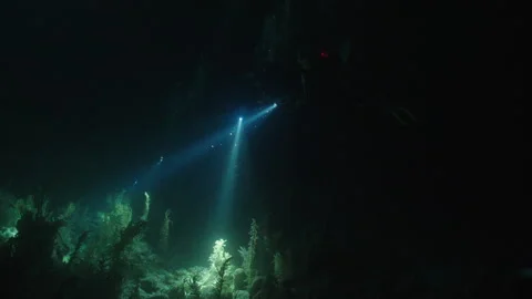 Scuba Divers’ Flashlights Illuminating the Dark Belizean Waters Stock Footage 306501482