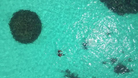 Scuba divers floating over turquoise water at Racha Island in Phuket, Thailand Stock-Footage 314819354
