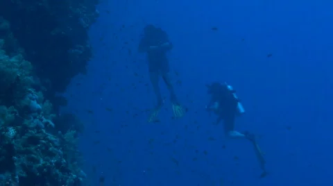 Scuba divers Stock Footage 682763