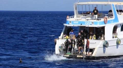 Scuba divers Video stock 915354