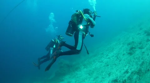 Scuba Divers Stock Footage 40731736