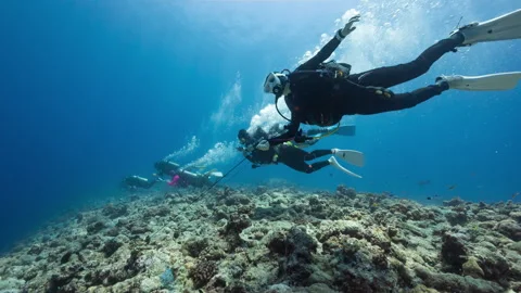 SCUBA Divers hooked onto the reef in strong current at Palau's Blue Corner Stock Footage 341162909