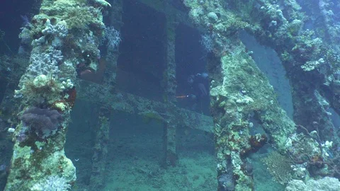 Scuba Divers Inside Ship Wreck Underwater Red Sea Egypt Stock Footage 102892587