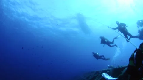 Scuba divers at La Plataforma wreck watching a baitball in Mediterranean Sea Stock Footage 231604467