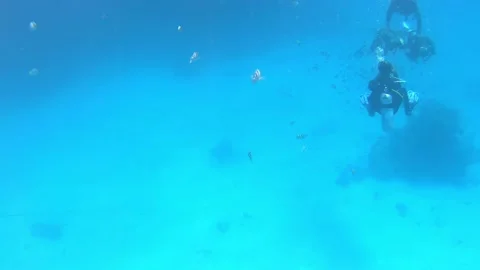 Scuba divers lessons in transparent red sea in blue underwater. Stock Footage 168096499