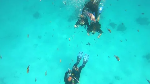 Scuba divers lessons in transparent red sea, take photo underwater Stock Footage 168096765