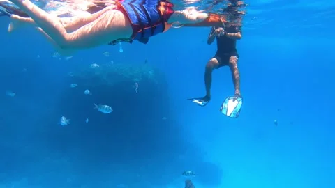 Scuba divers lessons in transparent red sea in blue underwater. Stock Footage 168096909