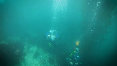 Scuba Divers Make Bubble Rings Underwater Stock Footage 129102428