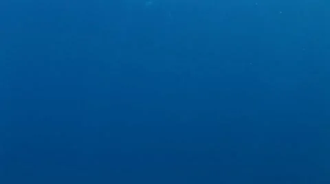 Scuba Divers over top with a Scooter Stock Footage 5253148