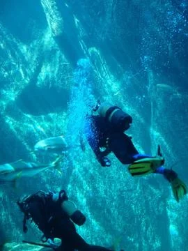 Scuba divers Stock Photos