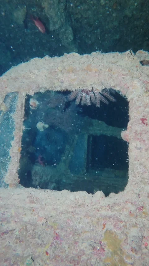 Scuba diver's point of view exploring a coral encrusted car wreck on the dark Vídeos de archivo 335197229