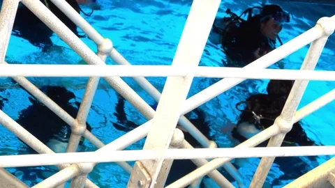 Scuba Divers Preparing for Immersion Video stock 70499846