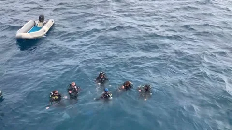 Scuba Divers Red Sea Stock-Footage 226818186
