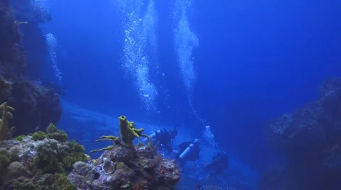 Scuba divers at reef 库存影片 1088899