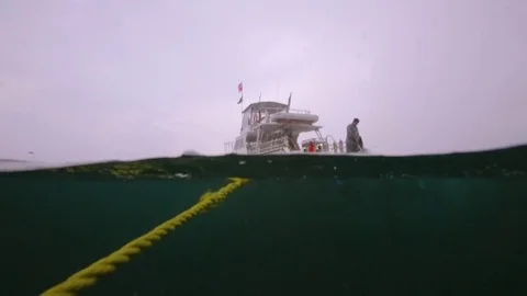 Scuba divers returning to boat Stock-Footage 80491655