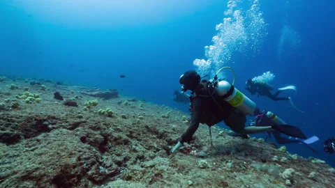 SCUBA Divers in strong current being swept over a deep tropical reef in Peleliu Stock Footage 344060063