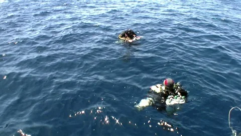 Scuba divers submerged under water in Re... | Stock Video | Pond5