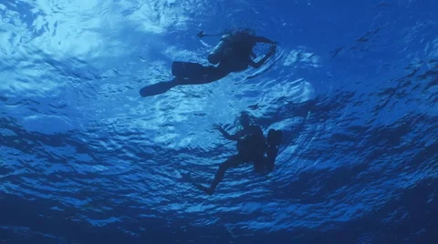 Scuba divers surfacing Видео 1956773
