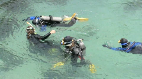 Scuba divers swim Stock Footage 493725