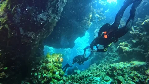 Scuba divers swimming between hard coral in the depth. Vidéo 123625117