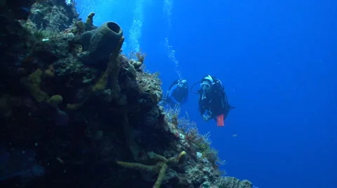 Scuba Divers swimming on a coral wall Stock Footage