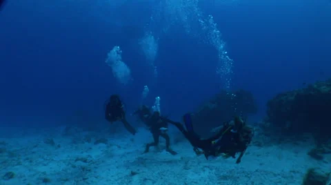 Scuba Divers Swimming Overhead Stock Footage 36374800