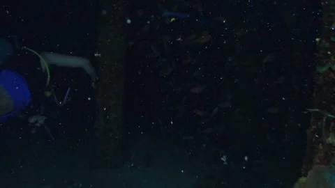 Scuba divers swimming through the dark, rusty corridors of a sunken shipwreck Vídeos de archivo 332000647