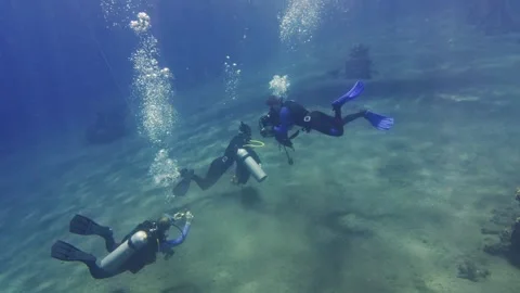Scuba divers training on sandy seabed 库存影片 339806226