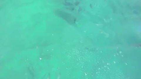 Scuba Divers Underwater 2 Stock-Footage 40698953