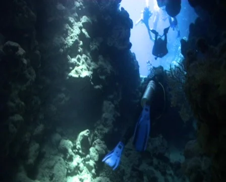 Scuba divers in an underwater cave Stock Footage 459398
