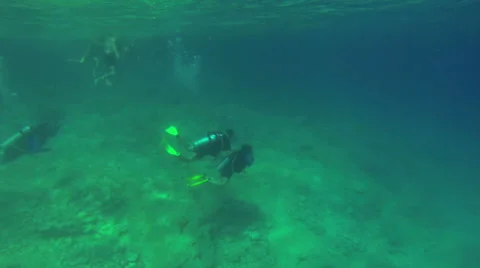 Scuba Divers Underwater Vidéo 40698952
