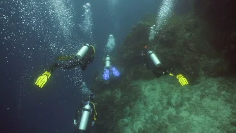 Scuba Divers underwater. Stock Footage
