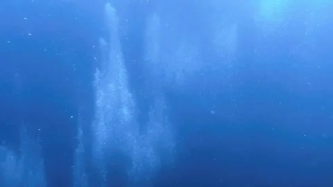 Scuba Divers underwater making bubbles 4k high quality Stock Footage 258654477