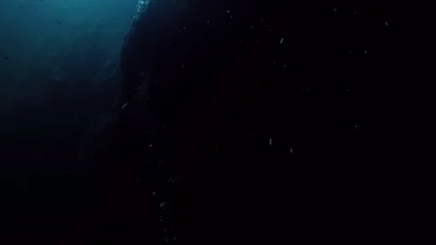 Scuba divers in the Zapotec or Hell's Bells cenote in Mexico. Stock Footage 104109662