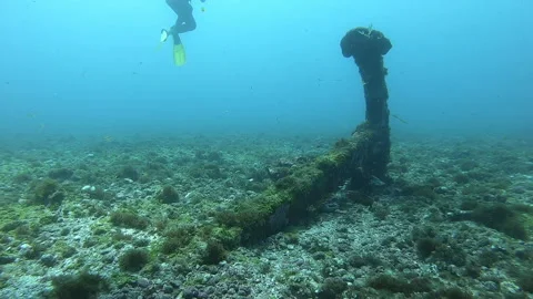 Scuba diving around an old anchor in Fernando de Noronha Stock Footage 172222392