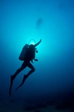Scuba diving in the caribbean Stock Photos