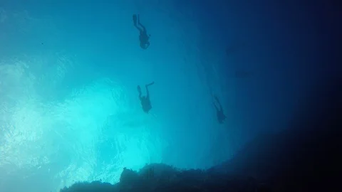 Scuba diving on coral reef 動画素材 98436127