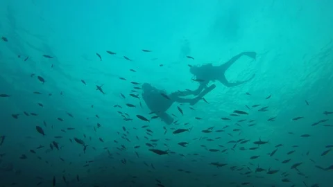 Scuba diving on coral reef Stock Footage 127209324