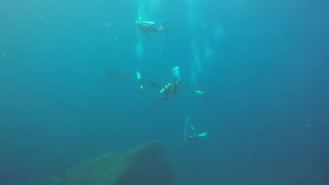 Scuba diving on coral reef Stock Footage 129139820