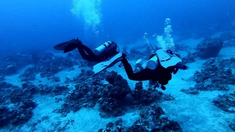 Scuba Diving on Coral Reef in Ocean Stock Footage 129062502