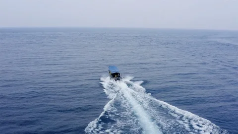 Scuba diving delivery Stock Footage 116662142