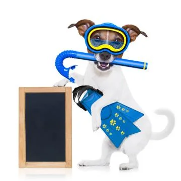 Scuba diving dog Stock-Fotos
