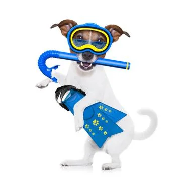 Scuba diving dog Stockfoto's