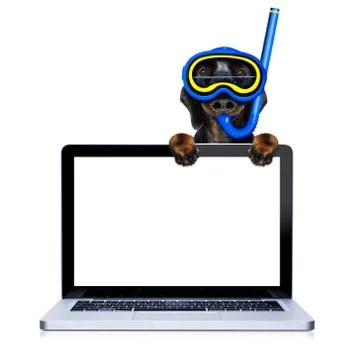 Scuba diving dog Stock Photos