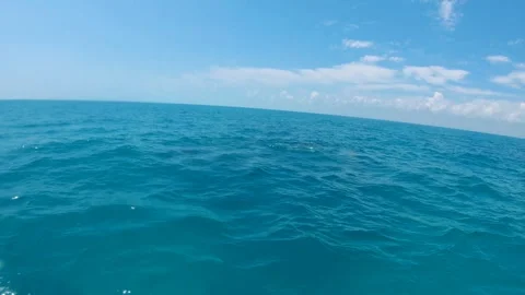 Scuba Diving - Dolphins Stock Footage 292457213