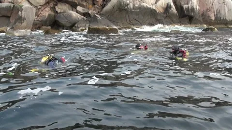 Scuba Diving Expedition Exploring Cold Waters of Barents Sea Video stock 321059971