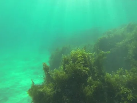 Scuba diving Stock Footage 77047078