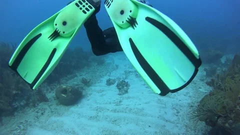 Scuba diving Vídeo Stock 82418101